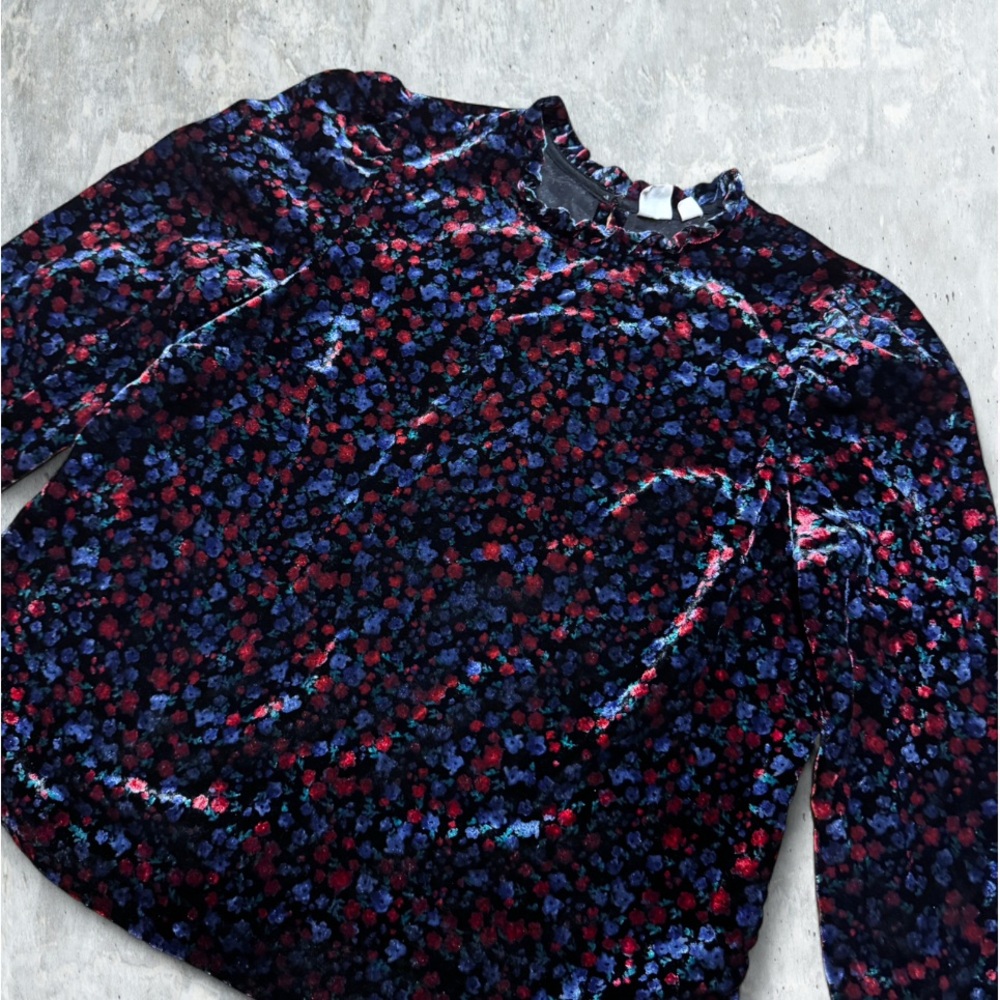 GAP Multicolor Velvet Blouse